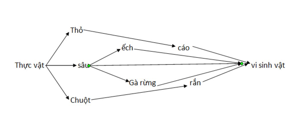 lap-1-luoi-thuc-an-gom-thuc-vat-tho-sau-chuot-ech-ga-rung-cao-ran-vi-sinh-vat