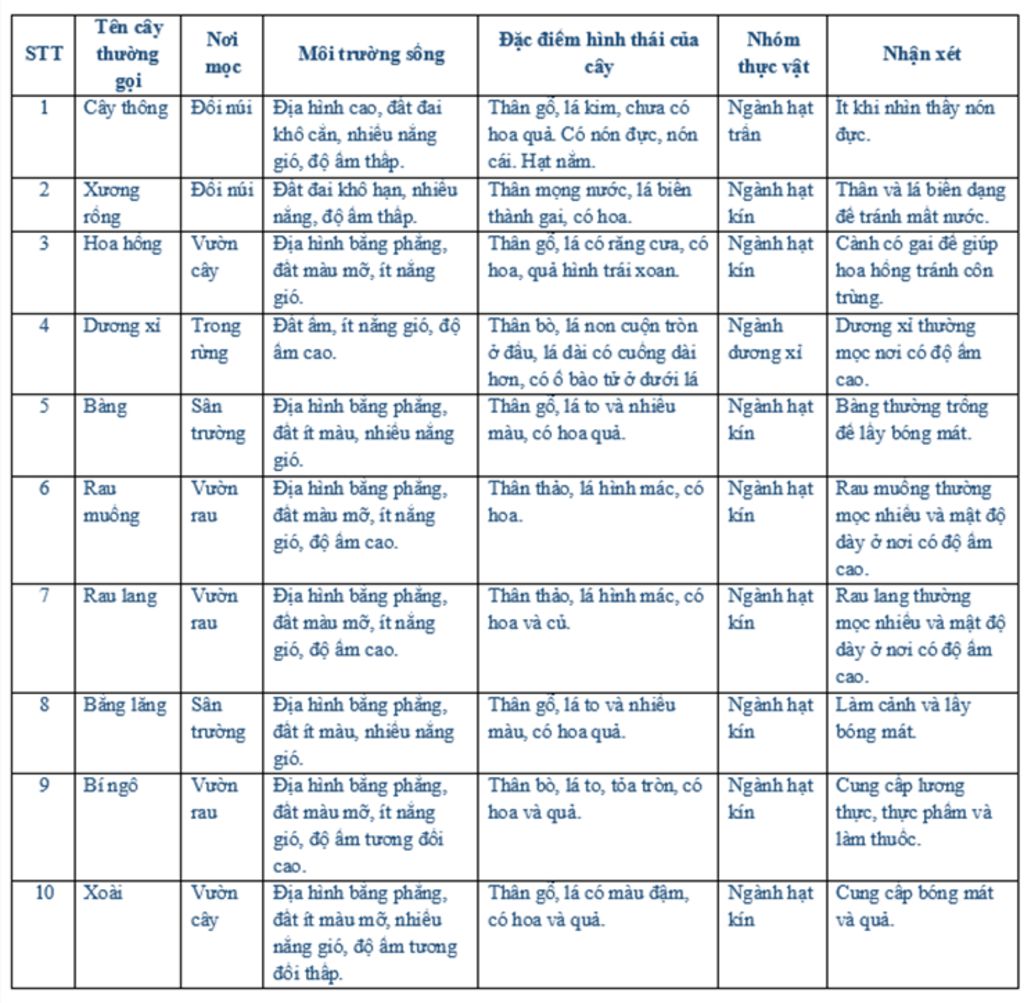 lap-bang-gom-co-cac-noi-dung-sau-stt-ten-cay-thuong-goi-noi-moc-moi-truong-song-dia-hinh-dat-dai