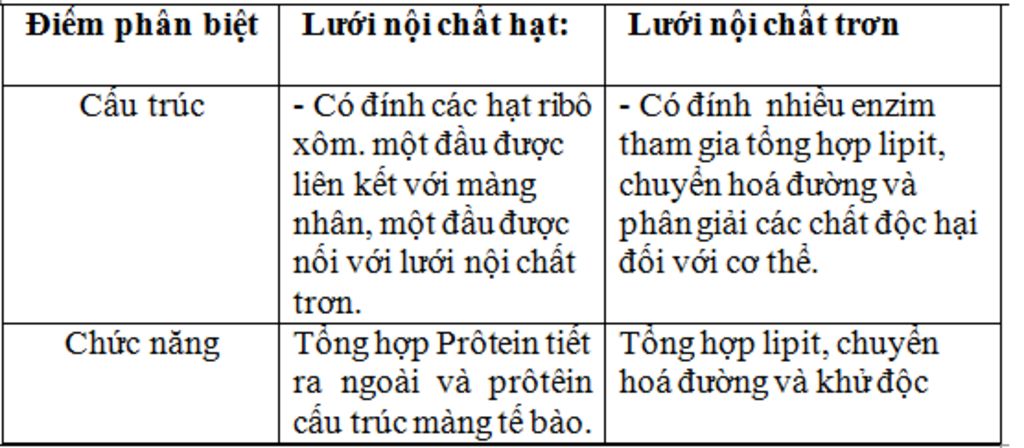 lap-bang-phan-biet-1-te-bao-nhan-so-va-te-bao-nhan-thuc-2-cau-truc-va-chuc-nang-cua-ti-the-va-lu