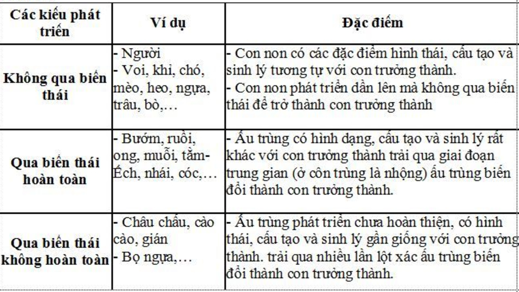 lap-bang-phan-biet-cac-kieu-phat-trien-dong-vat-cho-vd