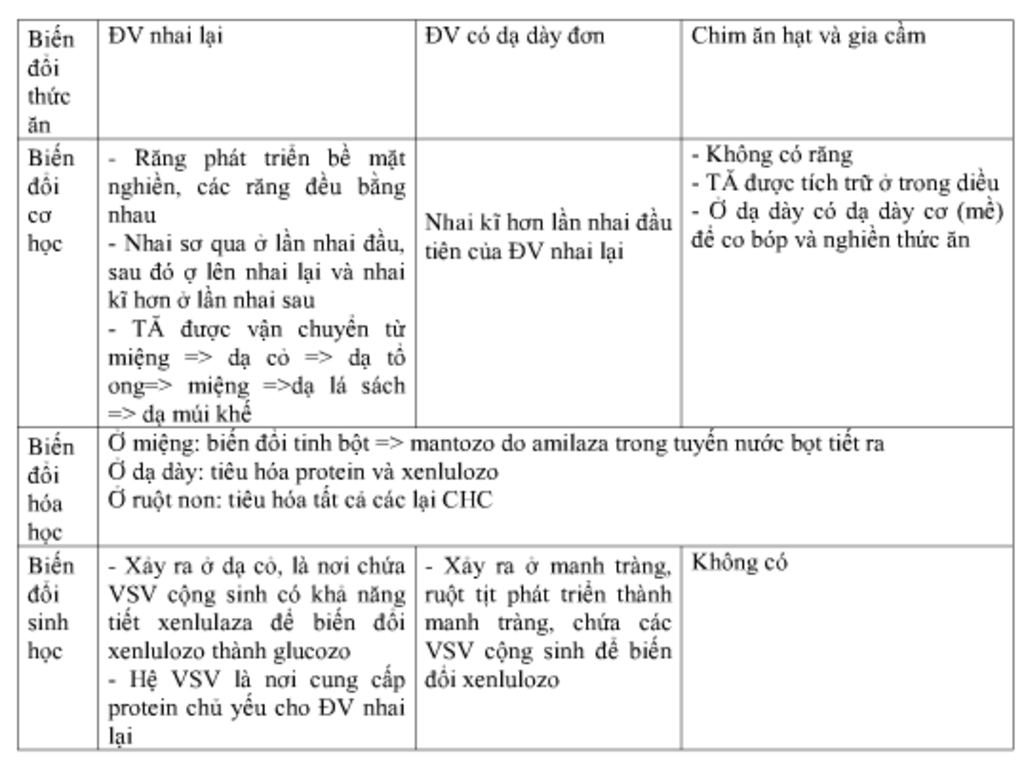 lap-bang-phan-biet-giua-dv-nhai-lai-vs-dv-co-da-day-don-vs-chim-an-hat-va-gia-cam-qua-cac-tieu-c