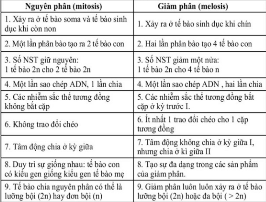 lap-bang-phan-biet-nguyen-phan-va-giam-phan-ii