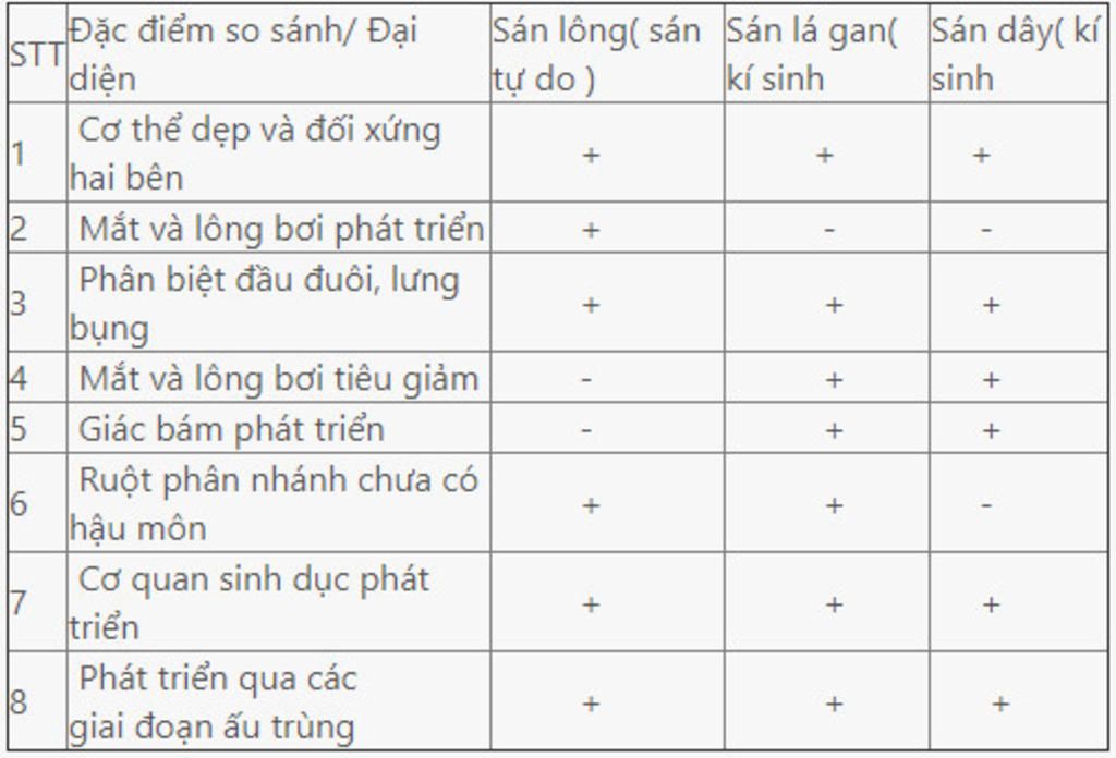 lap-bang-so-sanh-cac-dac-diem-cua-3-nganh-giun-j-giup-iem-voi-a-hmu-hmu-em-can-gap
