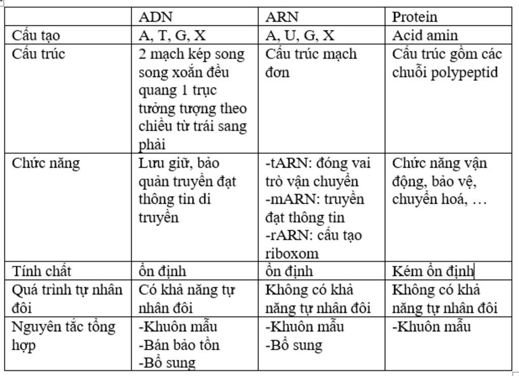 lap-bang-so-sanh-cac-phan-tu-adn-arn-va-protein-ve-cac-dac-diem-cau-tao-cau-truc-chuc-nang-tinh