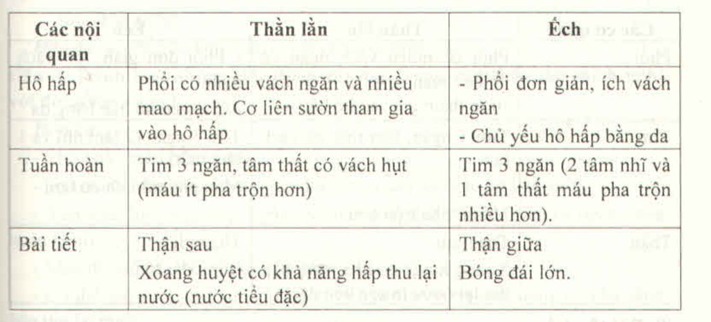 lap-bang-so-sanh-cau-tao-cac-co-quan-ho-hap-tuan-hoan-bai-tiet-cua-than-lan-ech-va-chim-bo-cau