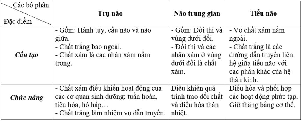 lap-bang-so-sanh-cau-tao-va-chuc-nang-tru-nao-nao-trung-gian-tieu-nao