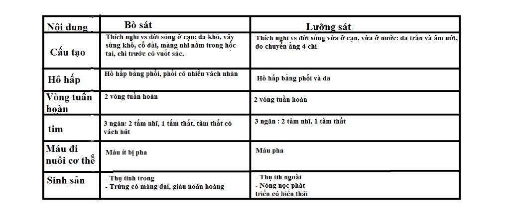 lap-bang-so-sanh-dac-diem-cau-tao-trong-cua-luong-cu-va-bo-sat