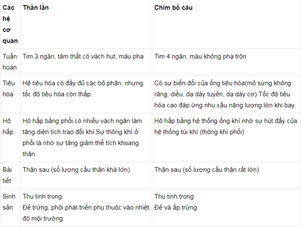 lap-bang-so-sanh-dac-diem-sinh-san-cua-than-lan-bong-d-d-va-chim-bo-cau-cho-biet-y-nghia-thik-ng
