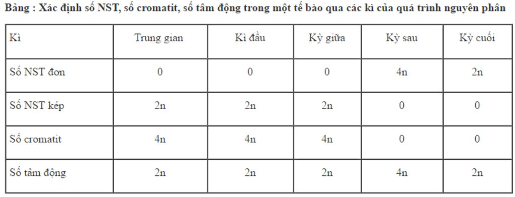 lap-bang-tong-quat-the-hien-so-luong-nst-va-trang-thai-cua-nst-o-cac-ki-cua-nguyen-phan-giam-pha