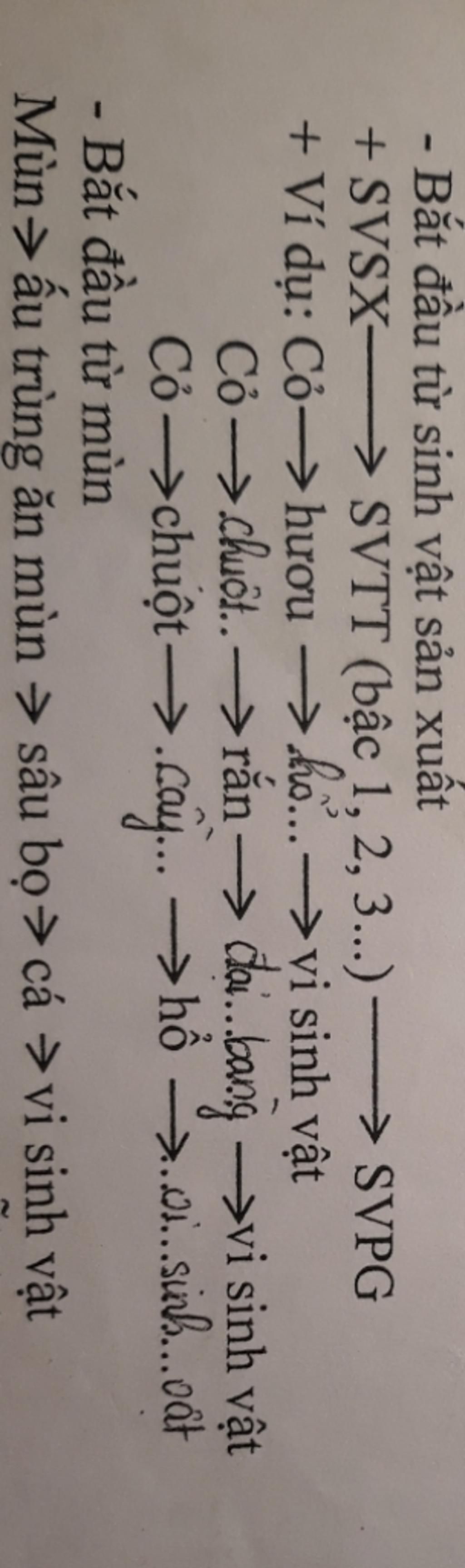 lap-cac-chuoi-thuc-an-gom-vi-sinh-vat-san-uat-sinh-vat-tieu-thu-va-sinh-vat-phan-giai