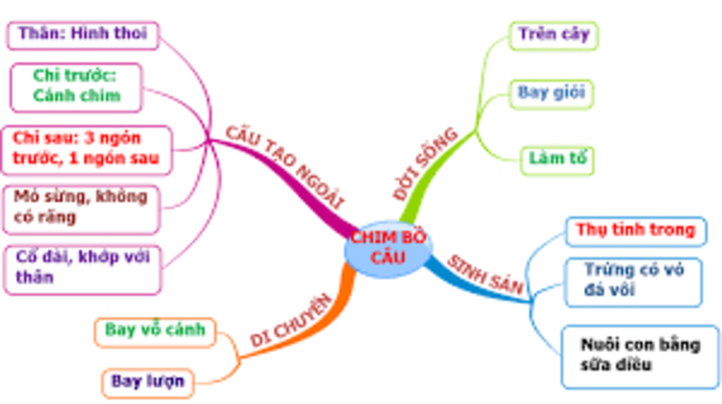 lap-so-do-he-thong-bai-41-44-sinh-7-ko-copy-tren-mang-nha-trinh-bay-sach-dep-thi-dc-5-sao-1-so-d