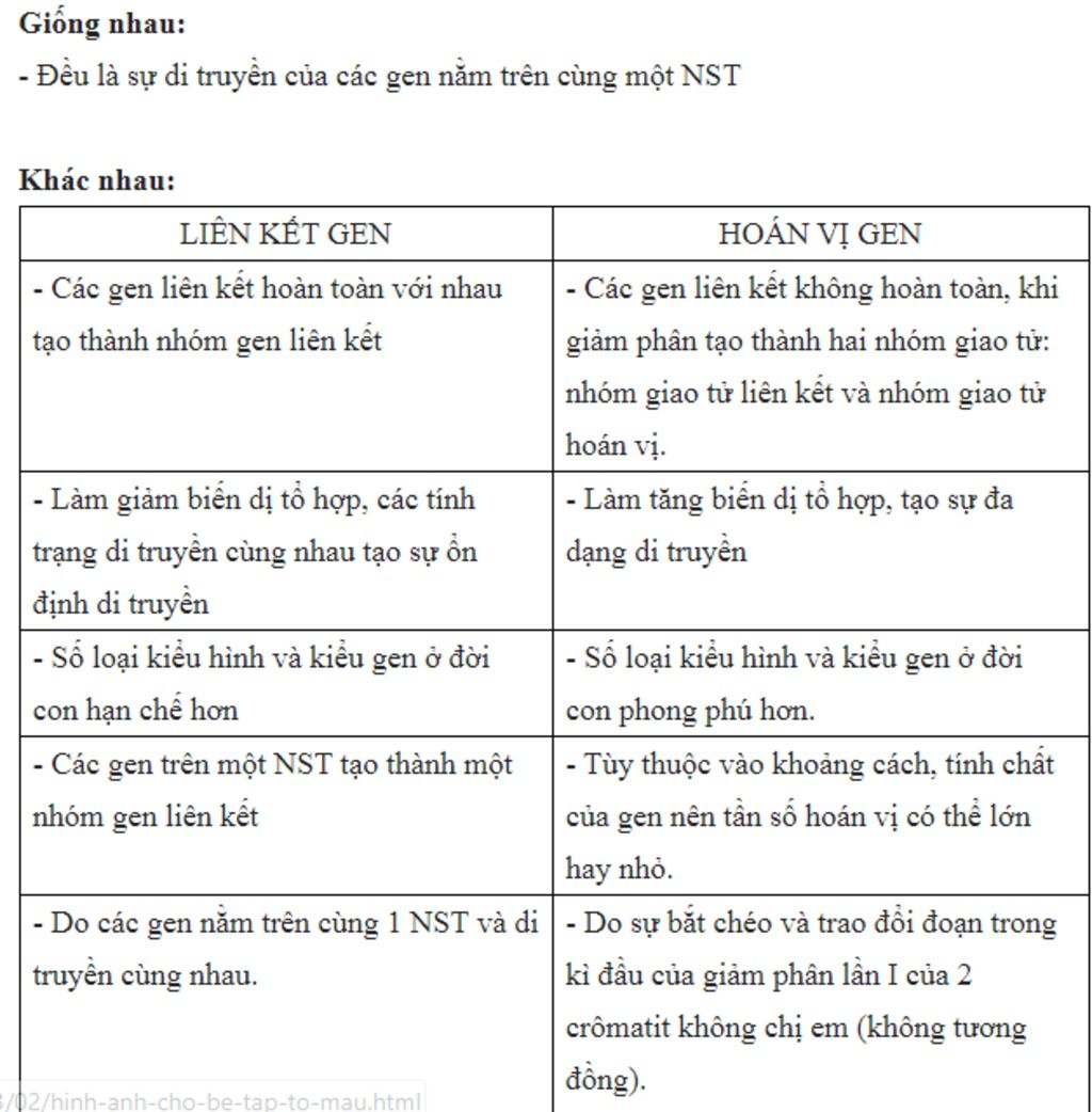 lap-so-do-so-sanh-duong-di-truyen-hoan-vin-vi-gen-va-lien-ket-gen