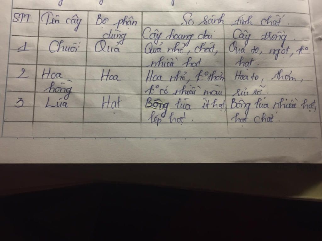 lay-mot-vai-vd-4-5-cay-so-sanh-giua-cay-trong-voi-cay-dai-4-5-dac-diem-moi-nguoi-oi-giup-minh-nh