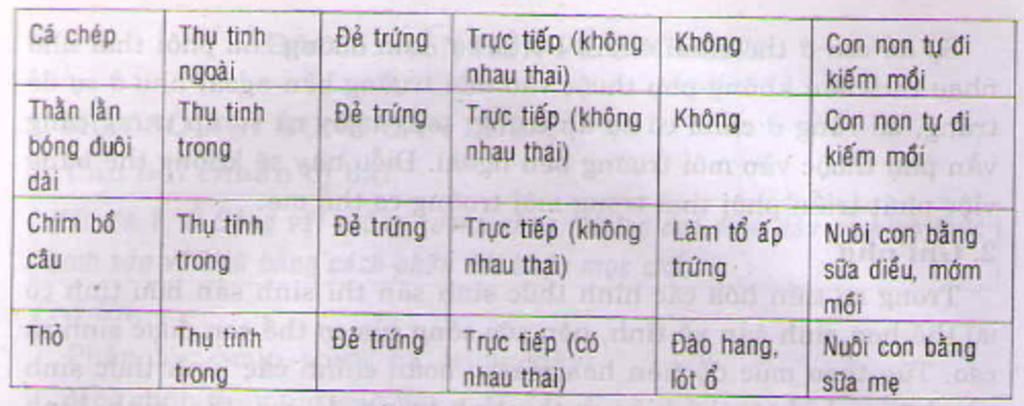 lay-vai-vi-du-ve-su-tien-hoa-hinh-thuc-sinh-san-huu-tinh-vai-vi-du-nhe-hua-vote-va-cam-on-nhieu