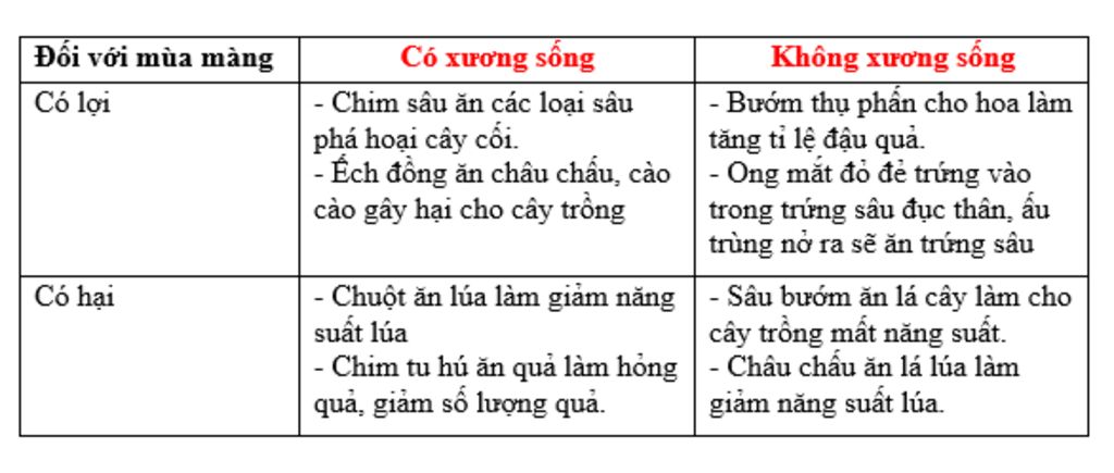 lay-vd-ve-2-loai-dong-vat-co-uong-song-va-khong-co-uong-song-co-loi-cho-mua-mang-co-hai-cho-mua