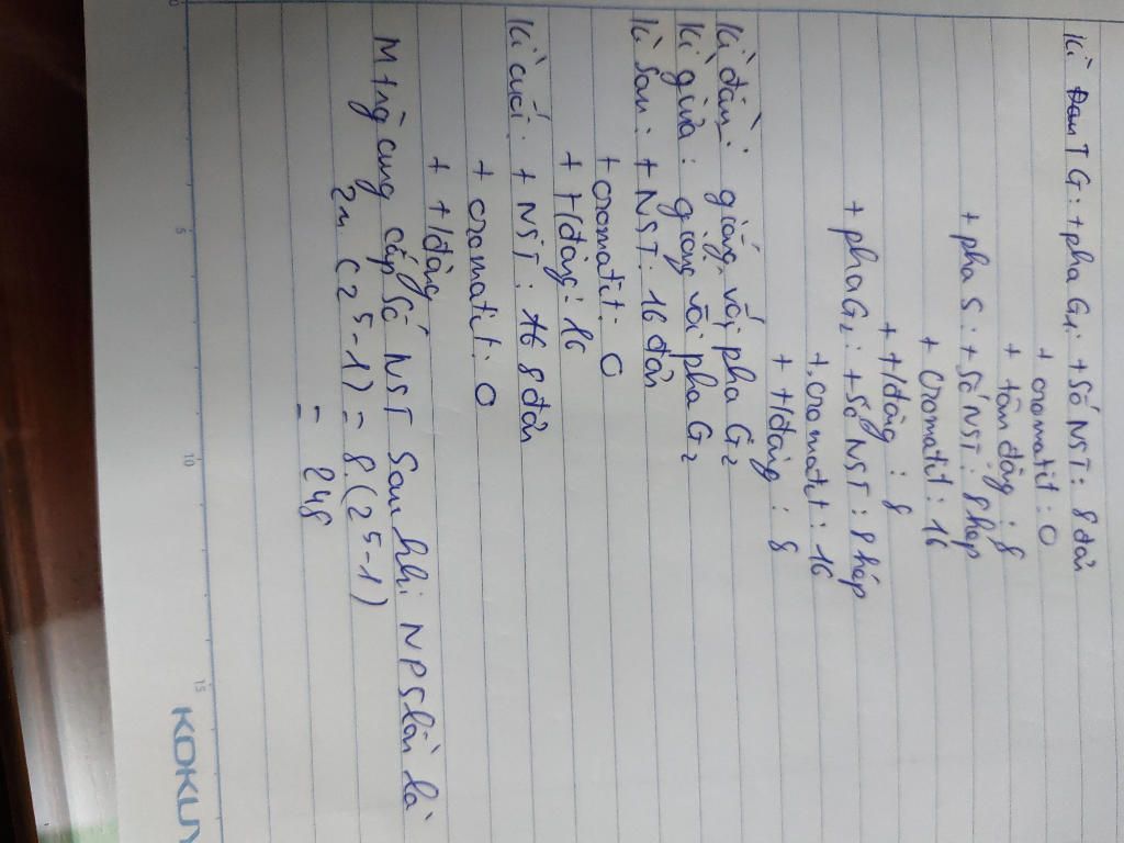 loai-ruoi-giam-co-bo-nst-2n-8-hop-tu-cua-cac-loai-trai-qua-nguyen-phan-a-hay-cho-biet-so-nst-cro