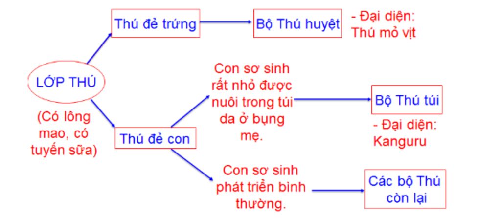 m-n-giai-ho-e-cau-nay-vs-a-em-hay-ve-so-do-tu-duy-the-hien-su-da-dang-cua-lop-thu-ve-doi-song-ta