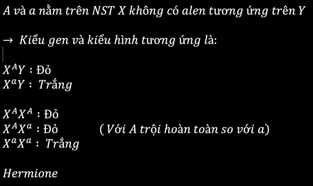mau-do-do-gen-a-quy-dinh-a-quy-dinh-mau-trang-nam-tren-nst-gioi-tinh-k-co-alen-tuong-ung-tren-y