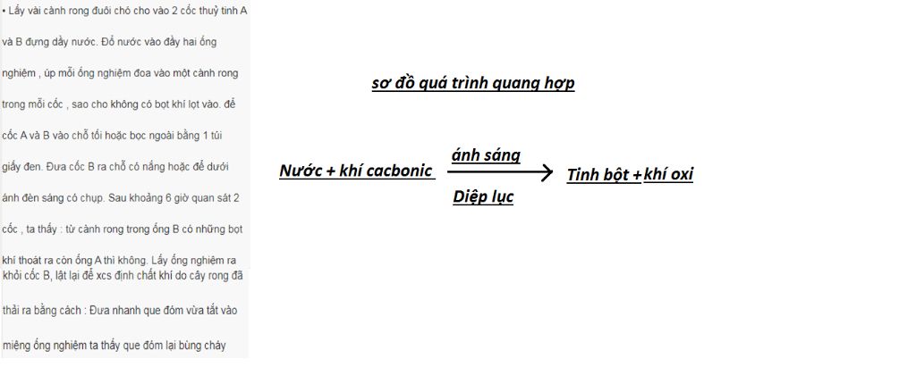 mieu-ta-thu-nghiem-ac-dinh-chat-thai-ra-trong-qua-trinh-che-tao-tinh-bot-ve-so-do-qua-trinh-quan
