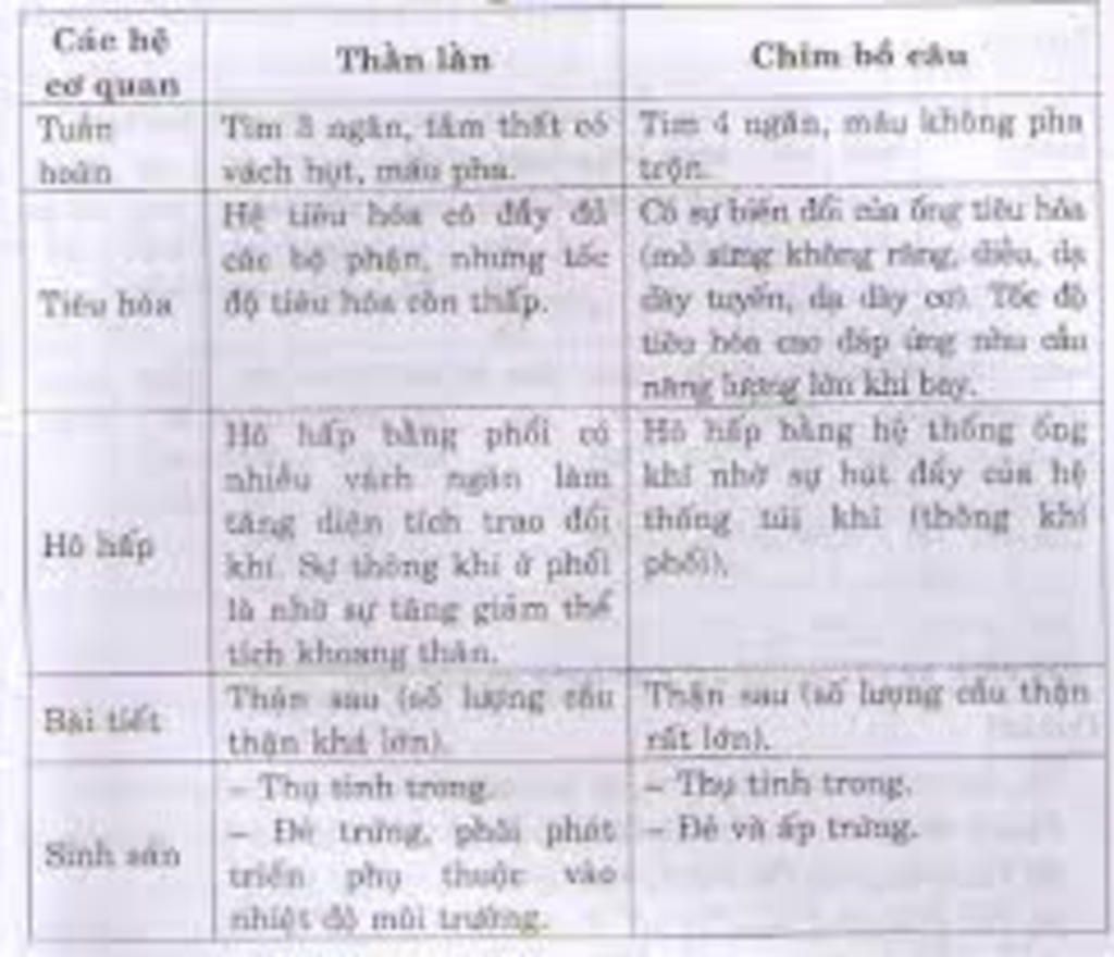 minh-bi-oa-cau-hoi-cu-roi-gio-phai-chia-nho-ra-cac-ban-cuu-minh-bai-2-so-sanh-dac-diem-cac-co-qu