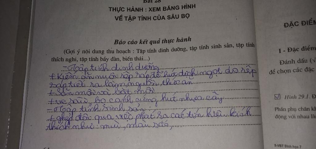 mn-co-the-ho-mik-ghi-tiep-bai-sinh-hoc-ni-dc-khum-a-do-la-co-mik-keu-tu-soan-ma-bai-ni-mik-ko-bt