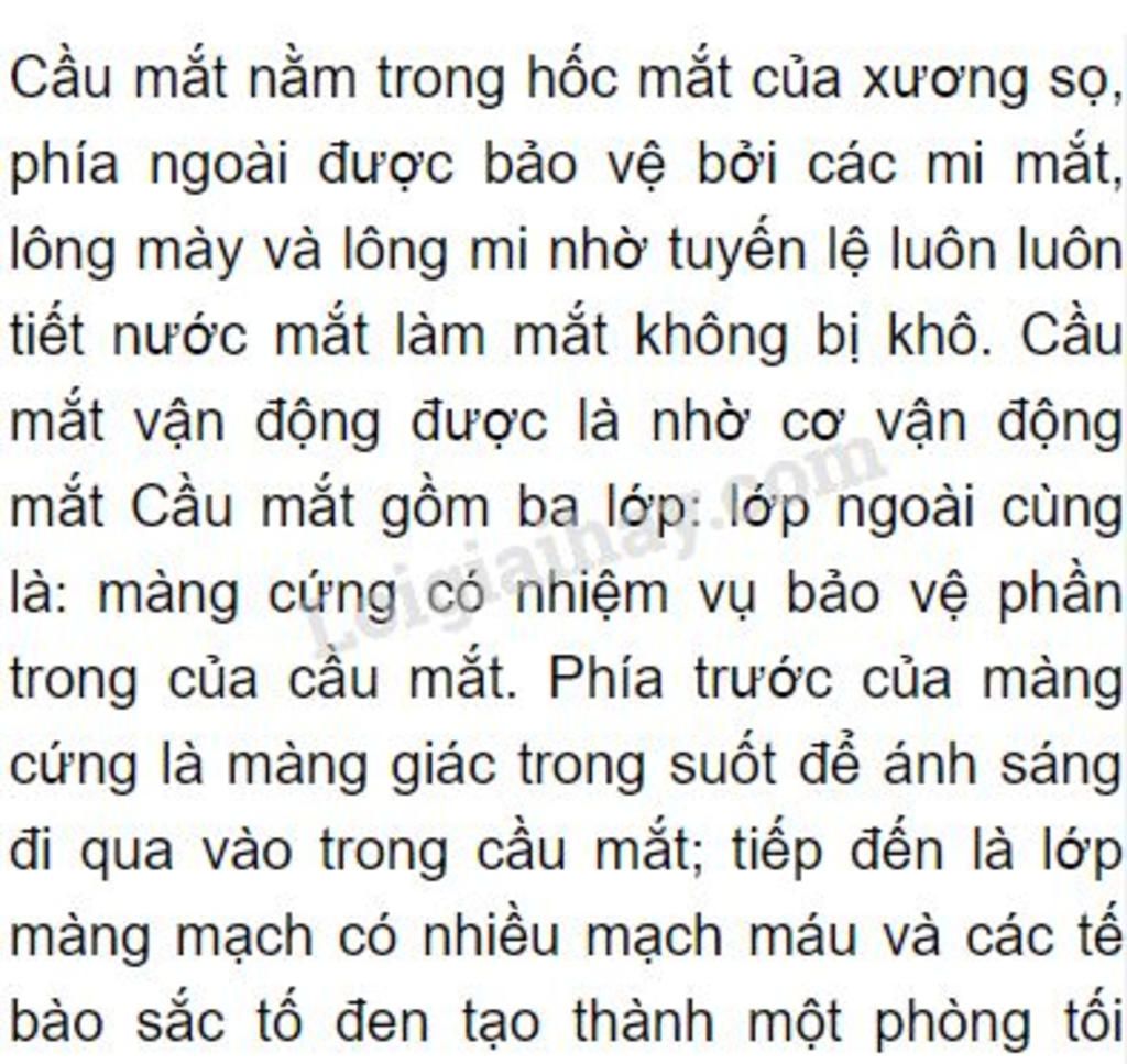 mo-ta-cau-tao-noi-chung-va-mang-luoi-noi-rieng