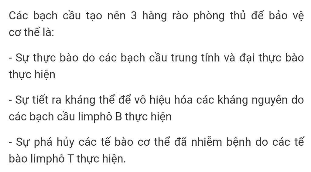 mo-ta-cu-the-bach-cau-da-tao-nen-nhung-hang-rao-phong-thu-nhu-the-nao-de-bao-ve-co-the-goi-y-khi