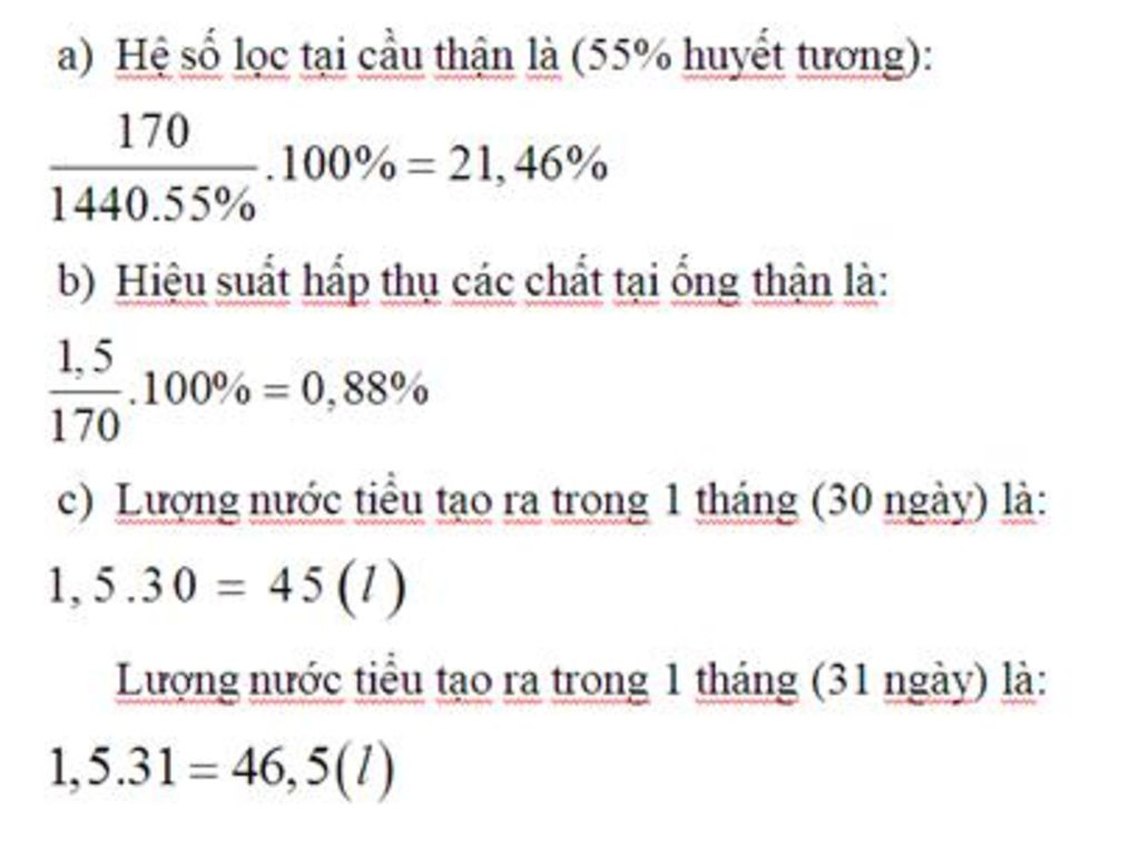 moi-ngay-cau-than-1-nguoi-truong-thanh-loc-duoc-1-440l-mau-va-tao-ra-170l-nuoc-tieu-dau-nho-qua