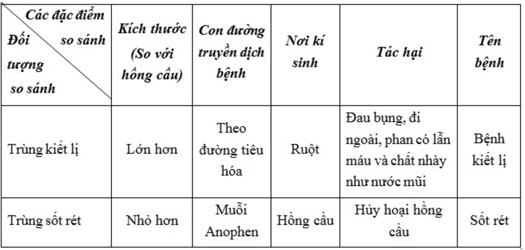 moi-nguoi-giup-minh-tra-loi-cau-nay-voi-neu-kich-thuoc-vai-tro-con-duong-am-nhap-cua-trung-kiet