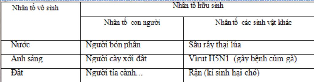 moi-truong-la-gi-sinh-vat-song-trong-nhung-moi-truong-nao-lay-vi-du-nhan-to-moi-truong-la-gi-nha