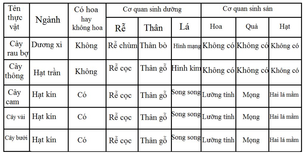 mong-cac-ban-thiet-gioi-mon-sinh-hoc-tra-loi-cho-tui-cau-hoi-nay-nha-lay-vi-du-50-loai-thuc-vat