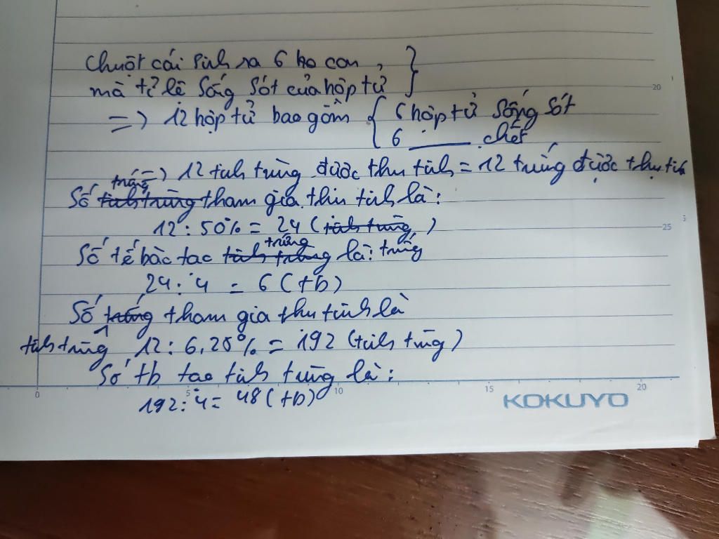 mot-con-chuot-cai-sinh-duoc-6-con-biet-ti-le-song-sot-cua-hop-tu-la-50-hieu-suat-thu-tinh-cua-tr