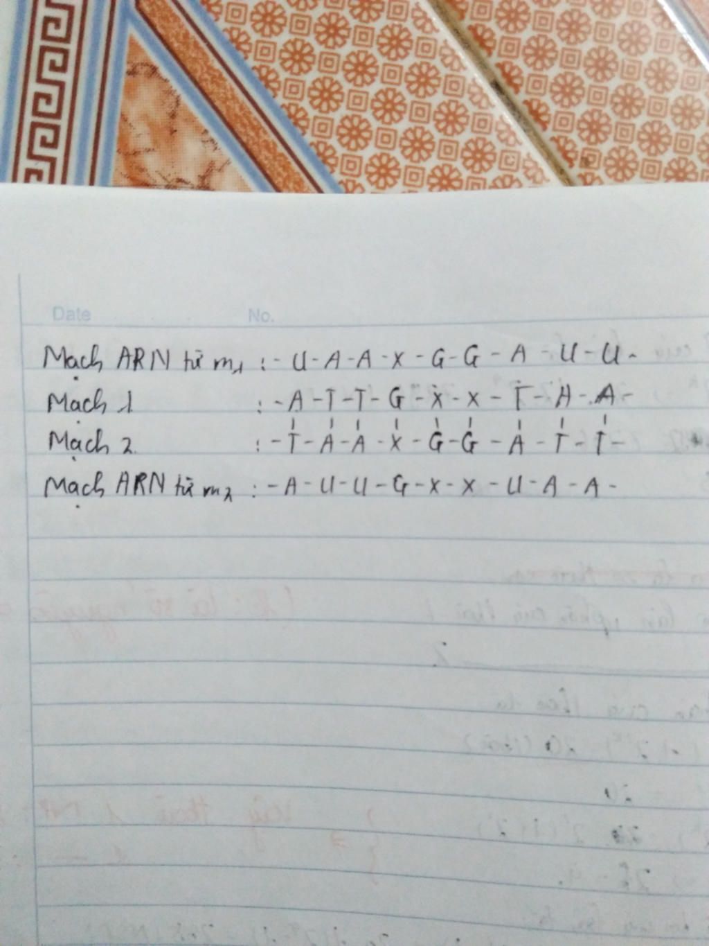 mot-doan-mach-1-cua-adn-co-trinh-tu-cac-nucleotit-nhu-sau-a-t-t-g-t-a-a-ac-dinh-trinh-tu-cac-nuc