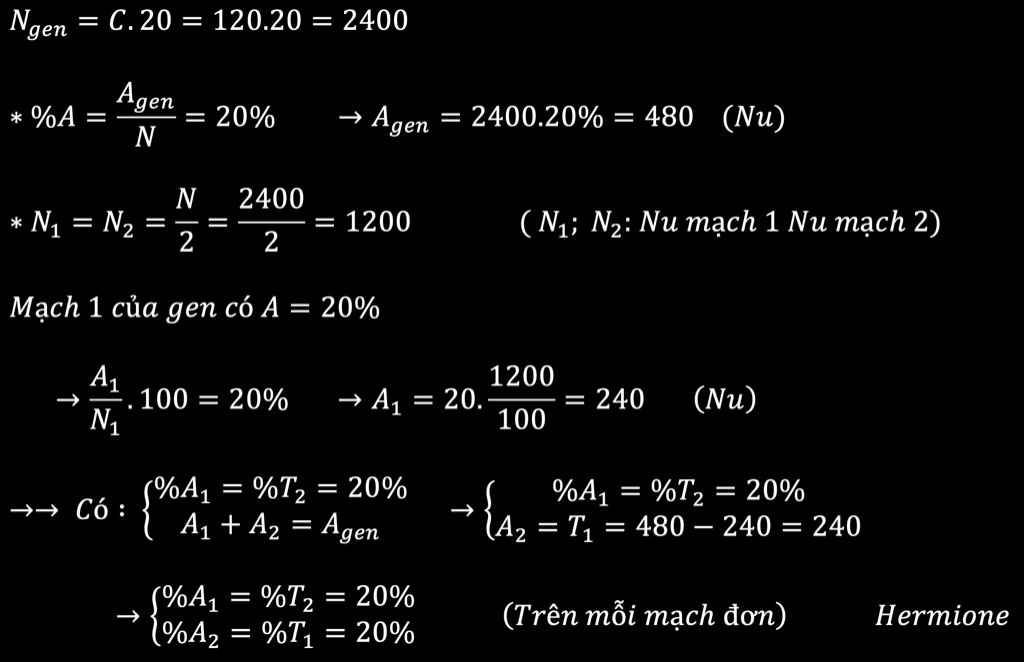 mot-gen-co-120-chu-ki-oan-va-a-20-mach-1-cua-gen-co-a-20-mach-2-co-g-10-tinh-ti-le-cua-tung-loai