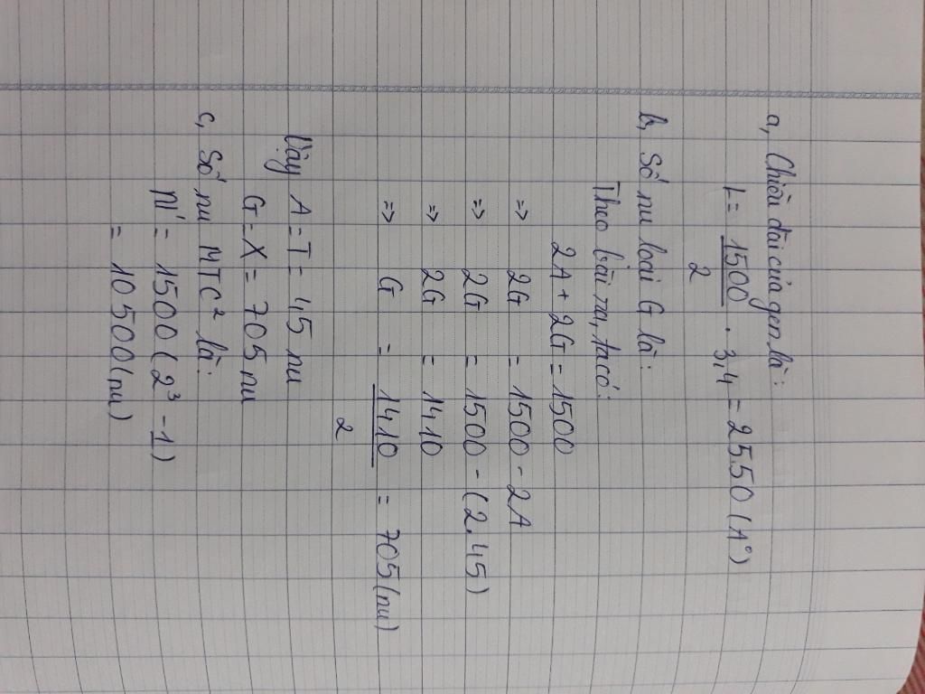 mot-gen-co-1500-n-trong-do-co-45-a-a-ac-dinh-chieu-dai-cua-gen-b-so-n-moi-loai-la-bao-nhieu-c-kh