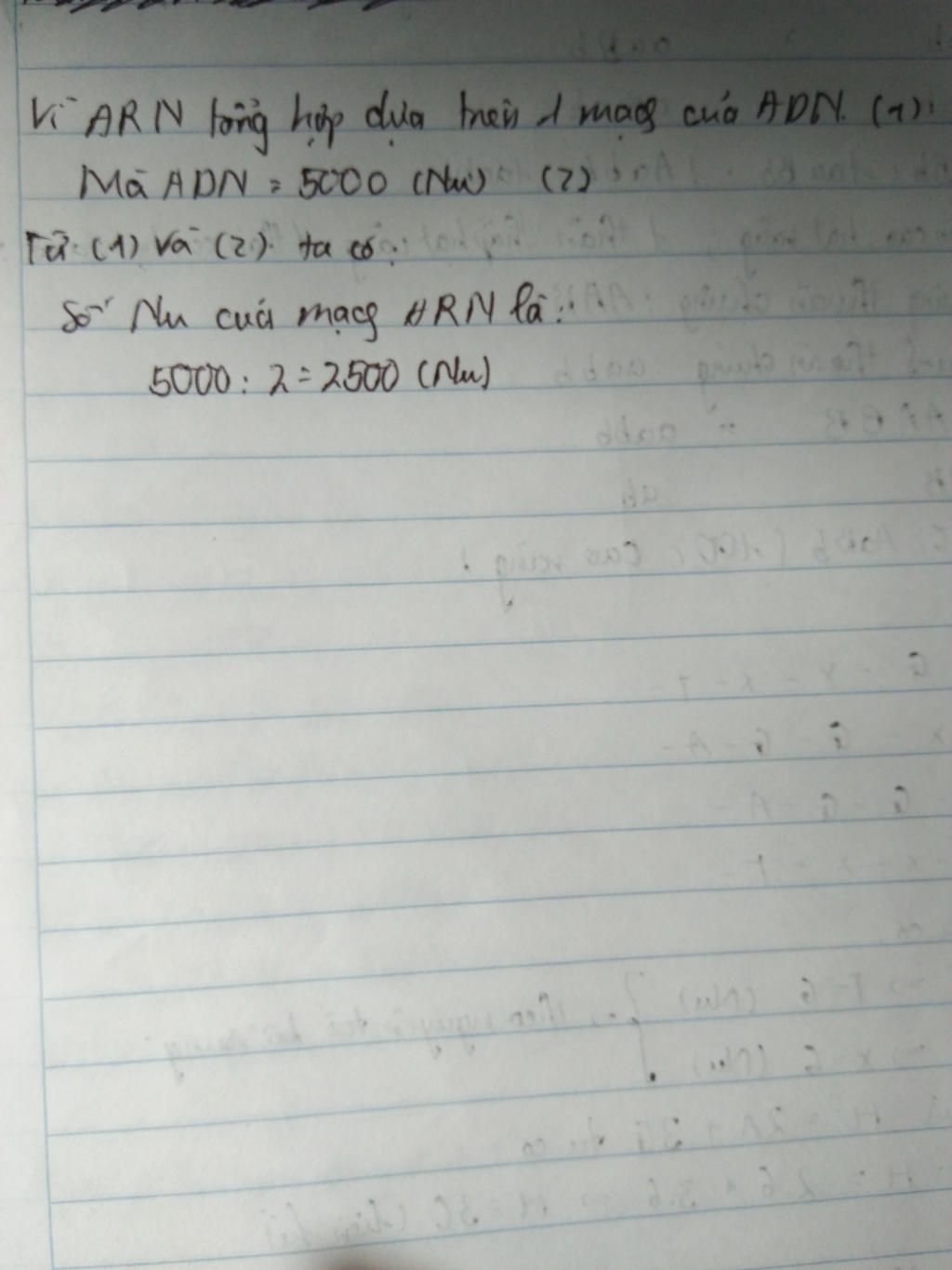 mot-gen-co-5000-nucleotit-phan-tu-arn-duoc-tong-hop-tu-gen-nay-co-tong-so-nucleotit-la-bao-nhieu