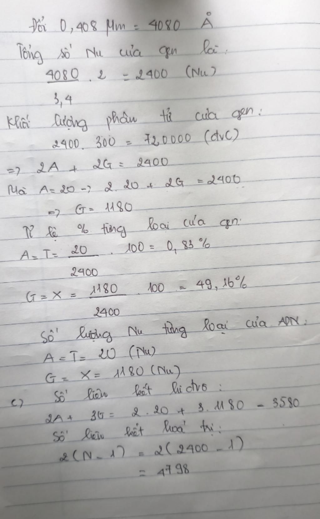 mot-gen-co-chieu-dai-0-408-um-co-so-nucleotit-loai-a-20-a-tinh-so-nucleotit-va-khoi-luong-phan-t