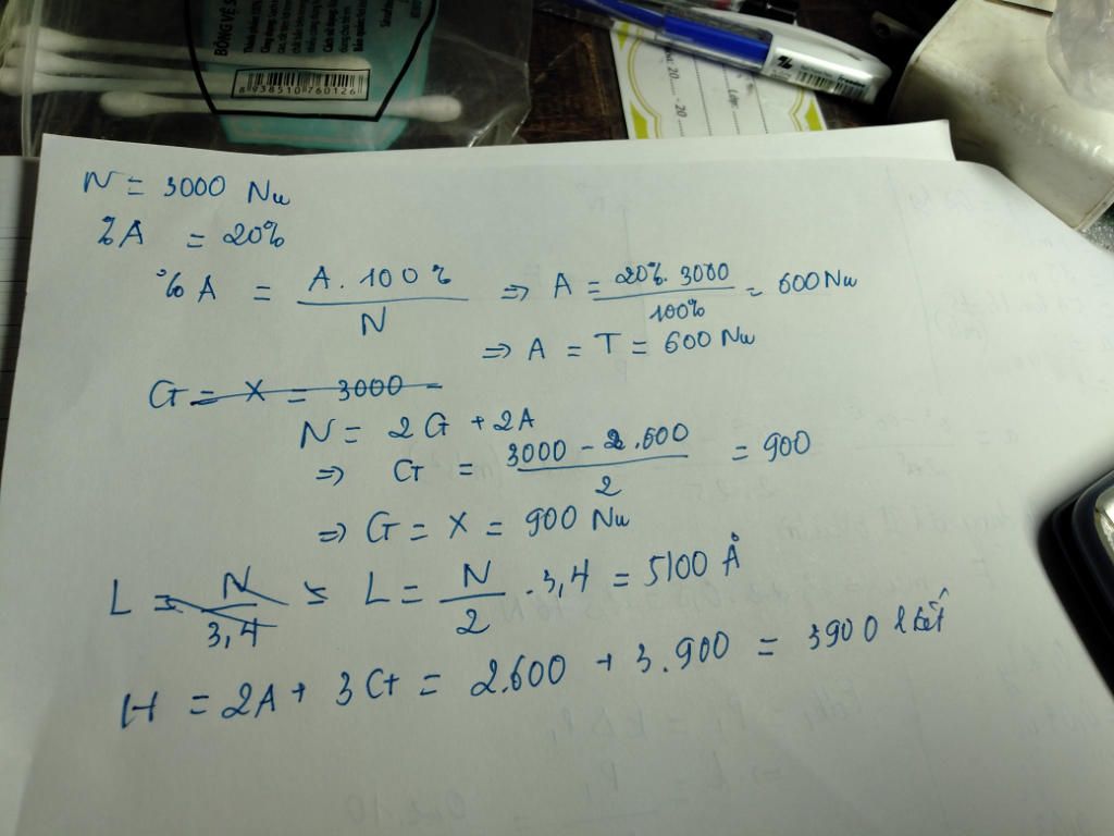 mot-gen-co-tong-so-3000-nucleotit-va-adenin-chiem-20-hay-ac-dinh-so-nucleotit-cua-moi-loai-gen-c