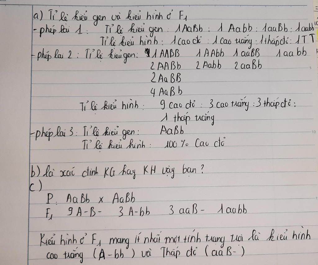 mot-loai-thuc-vat-gen-a-quy-dinh-than-cao-troi-hoan-toan-so-voi-gen-a-quy-dinh-than-thap-gen-b-q