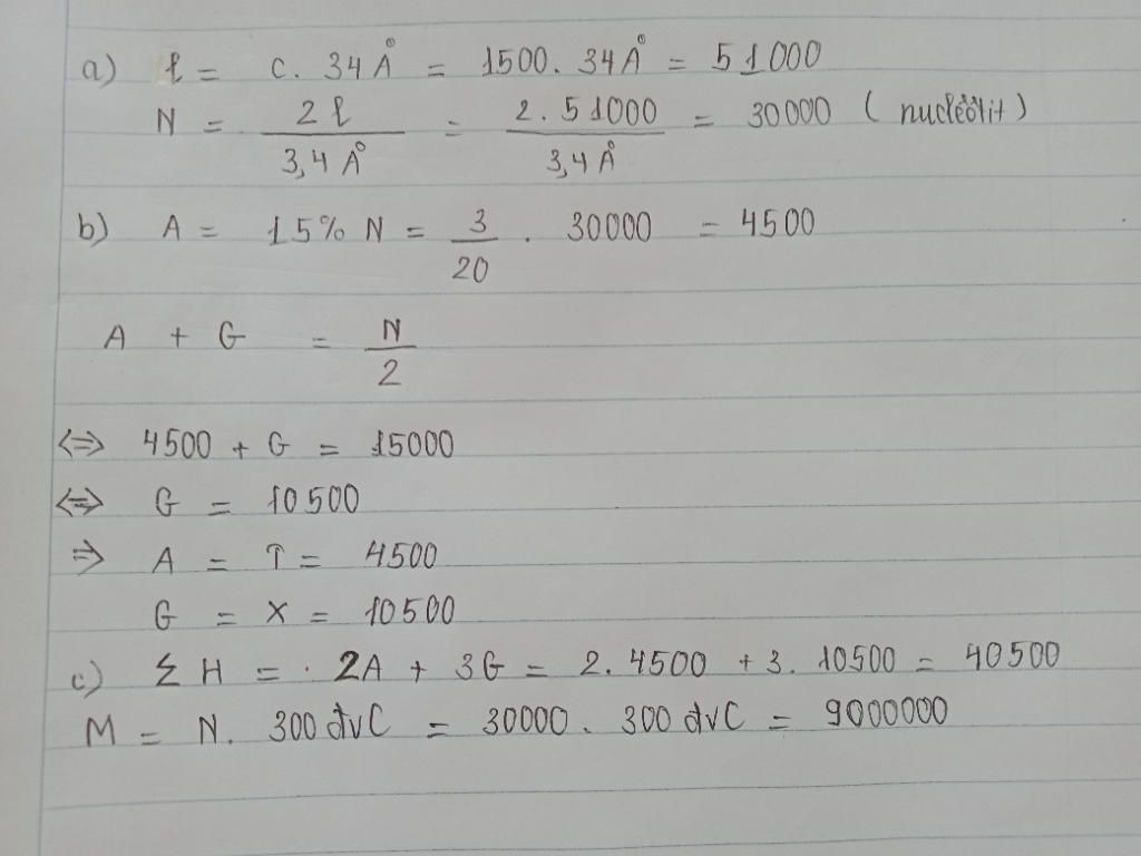 mot-phan-tu-adn-chua-1500-vong-oan-d-a-l-n-nu-cua-adn-b-so-luong-tung-nu-cua-adn-biet-a-15-n-c-h