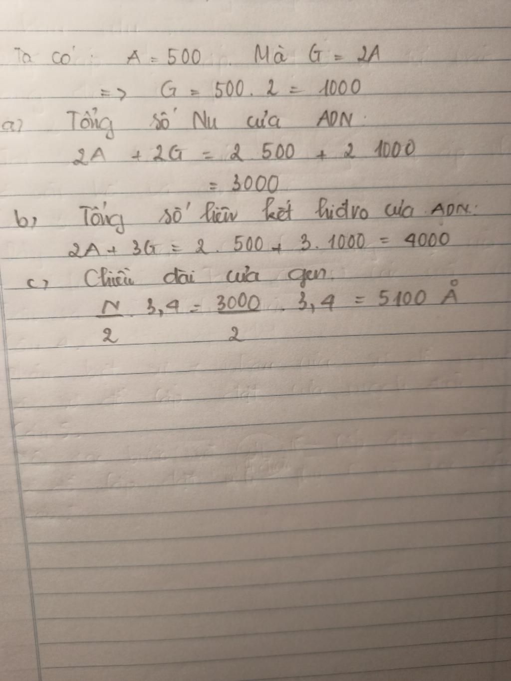 mot-phan-tu-adn-co-so-nucleotit-loai-a-500-so-nucleotit-loai-g-2a-tinh-a-tong-so-nucleotit-cua-a