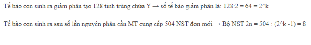 mot-te-bao-sinh-duc-so-khai-cua-mot-loai-thuc-hien-nguyen-phan-lien-tiep-doi-hoi-noi-bao-nang-ca