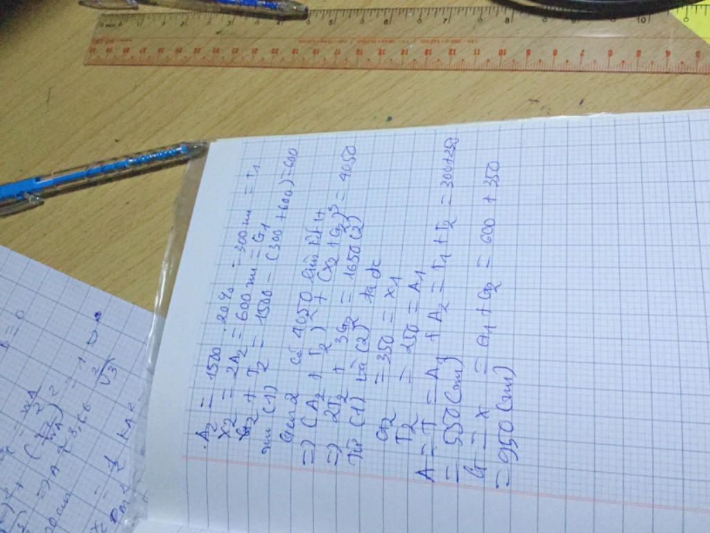 mot-tet-adn-co-2-mach-tet-g1-dai-0-306-tet-nm-tet-m1-cua-gen-co-tet-a1-2t1-3g1-41-tet-g2-co-chie
