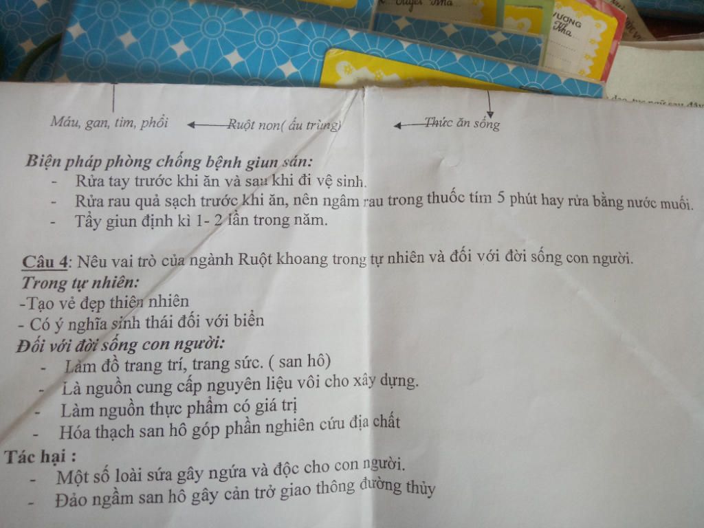 neu-bien-phap-bao-ve-mot-so-loai-giun-san-ki-sinh-trong-co-the-nguoi