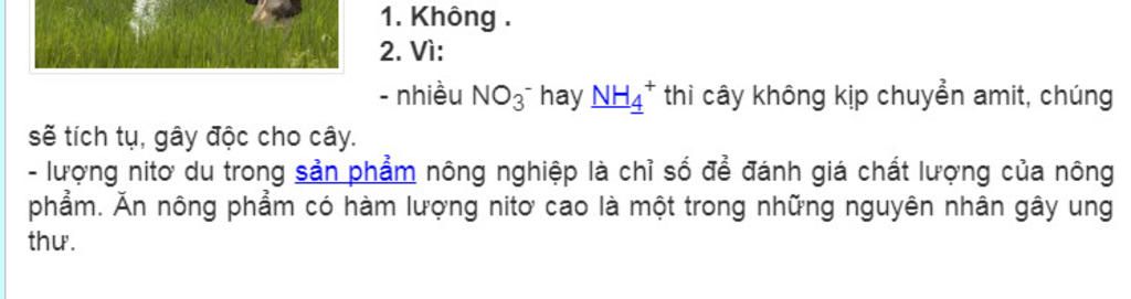 neu-bon-qua-nhieu-phan-nito-cho-cay-lam-thuc-pham-co-tot-khong-tai-sao-moi-nguoi-giup-minh-voi-a