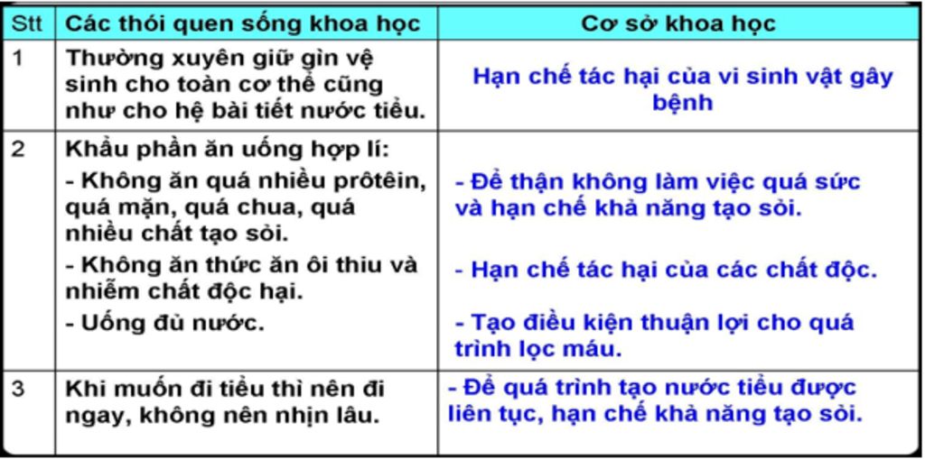 neu-cac-bien-phap-ve-sinh-he-bai-tiet-nuoc-tieu-va-co-so-khoa-hoc-cua-bien-phap-do