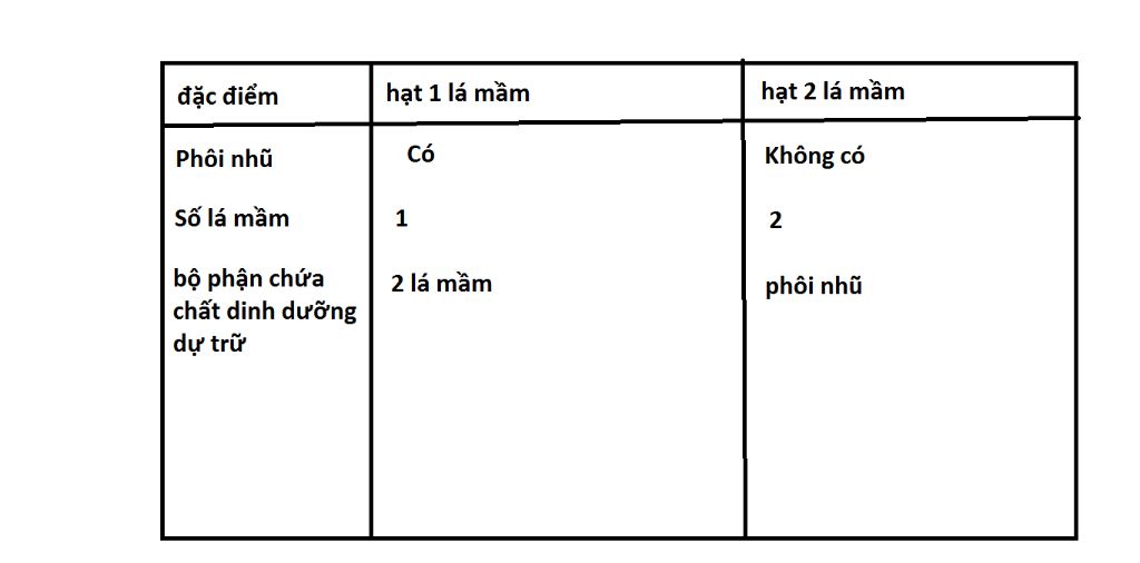 neu-cac-bo-phan-cua-hat-phan-biet-1-la-mam-2-la-mam