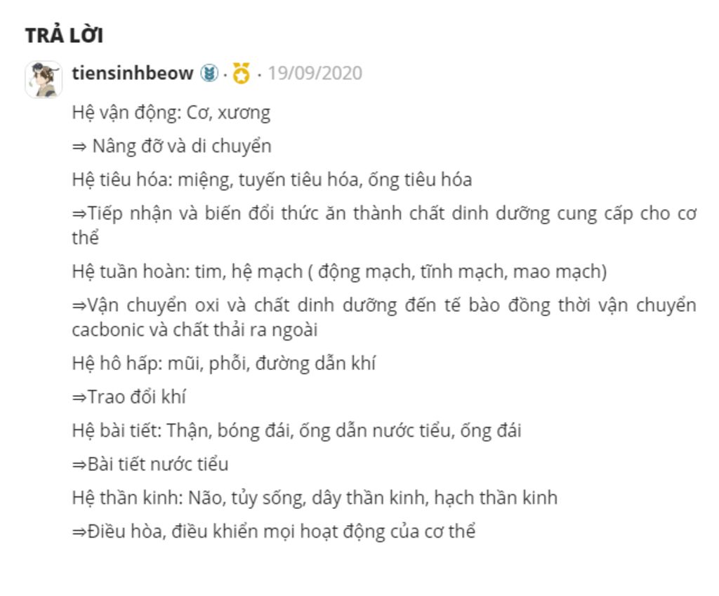 neu-cac-bo-phan-va-chuc-nang-cua-he-co-quan