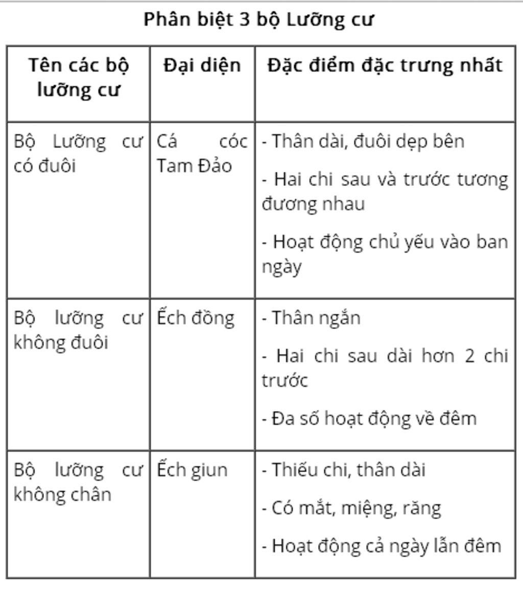 neu-cac-dac-diem-phan-biet-3-bo-luong-cu