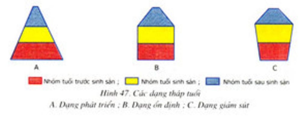 neu-cac-dac-trung-co-ban-cua-quan-the-va-tra-loi-cac-cau-hoi-1-2-3-sgk-trang-142